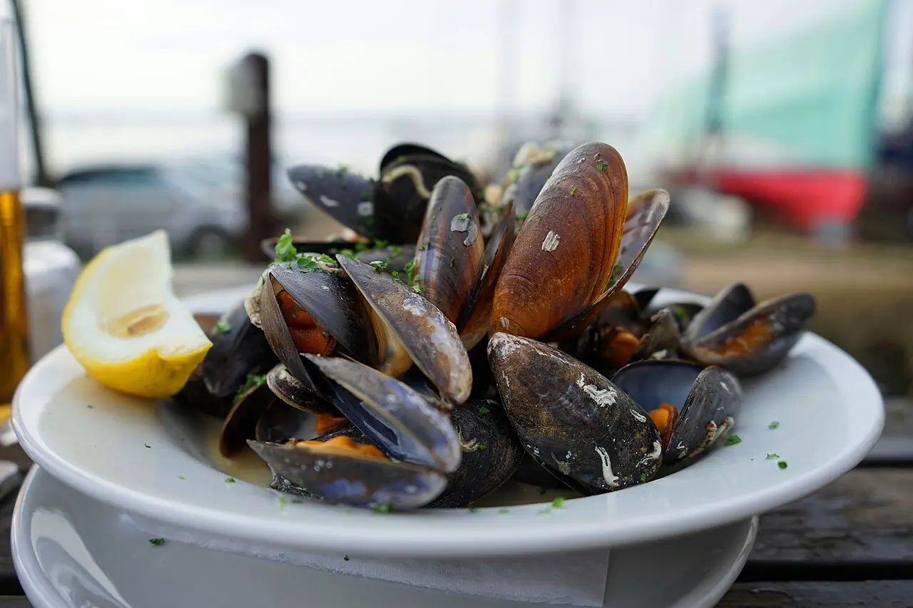 A pot of mussels cooked in white wine, garlic and herbs, the same style served as midii at the Portul Tomis restaurants
