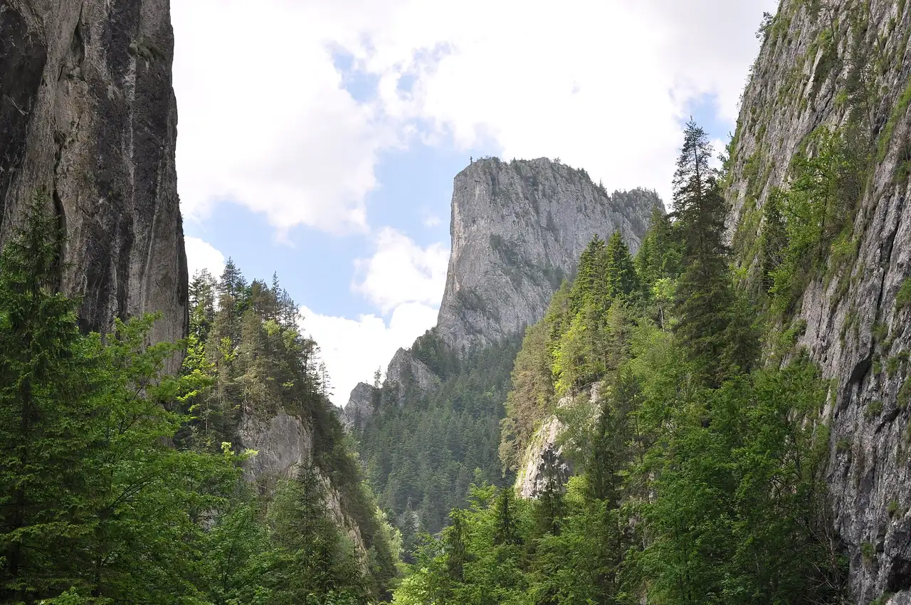 The pale tower of Piatra Altarului rising in the middle of the Bicaz Gorge, framed by dark forested cliffs on both sides