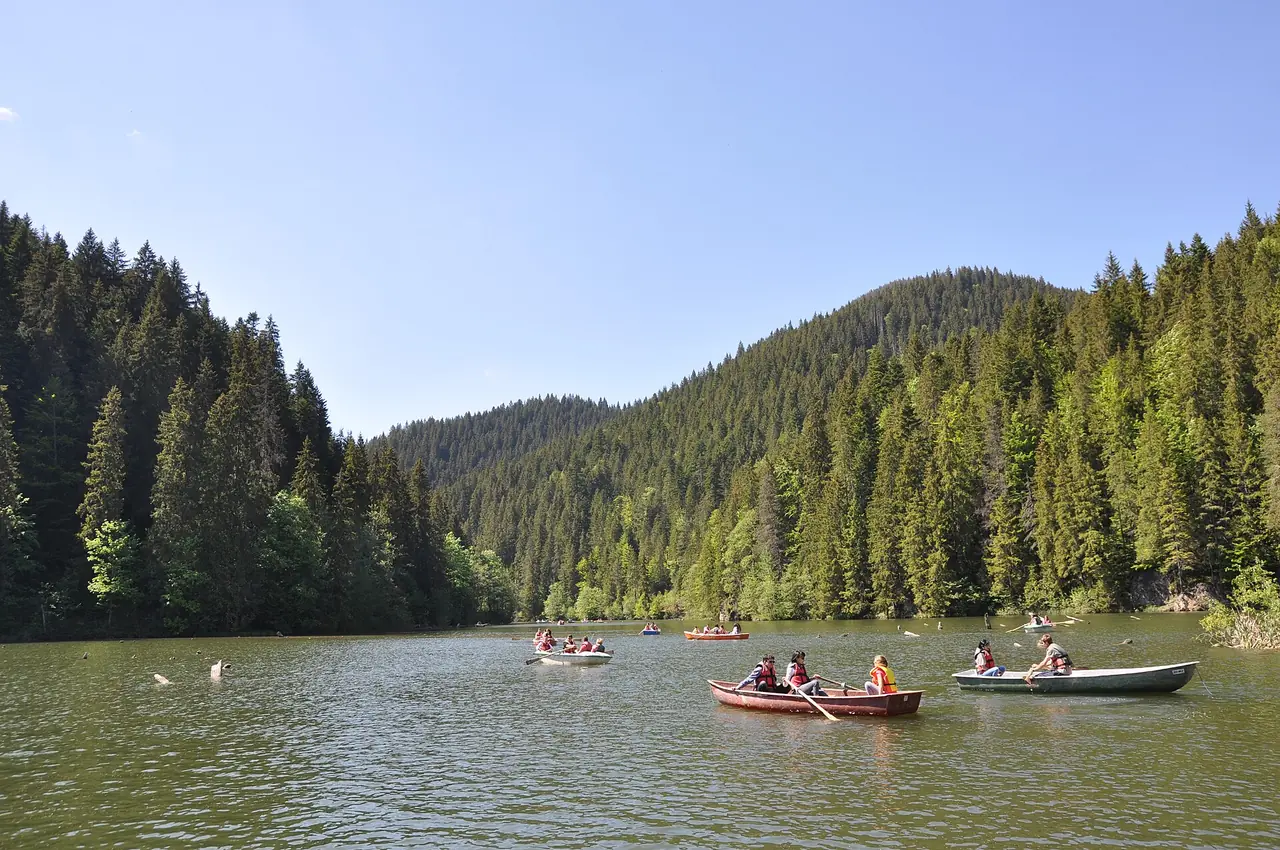 Rowing boats scattered across the green water of Lacu Rosu with bleached tree stumps standing out of the surface and forested slopes all around