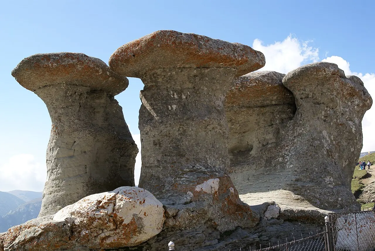 Wind-sculpted Babele rock pillars on the Bucegi plateau, rounded caps on narrow stems above alpine grass