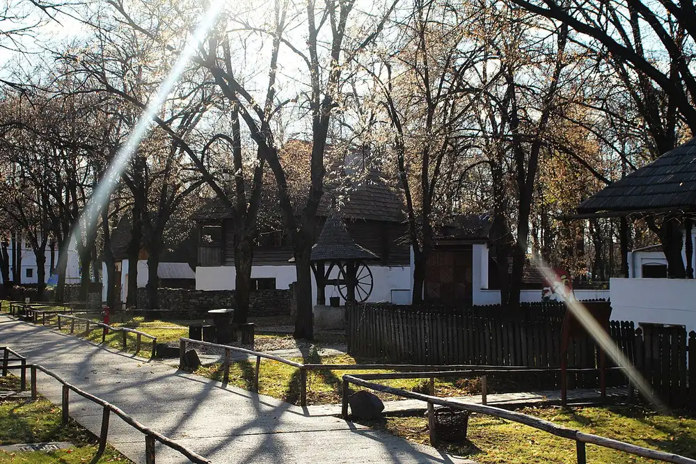 Autumn light over the grounds of the Village Museum in Bucharest, wooden houses and a well among bare trees