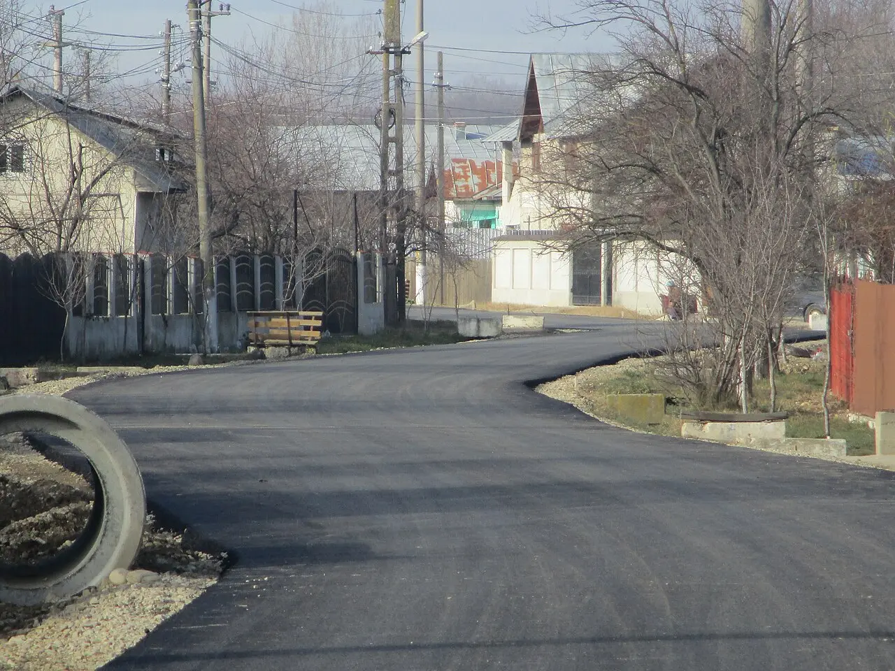 A freshly resurfaced back road running through a Romanian village, single-family houses and bare winter trees along it, the kind of route with no bus service