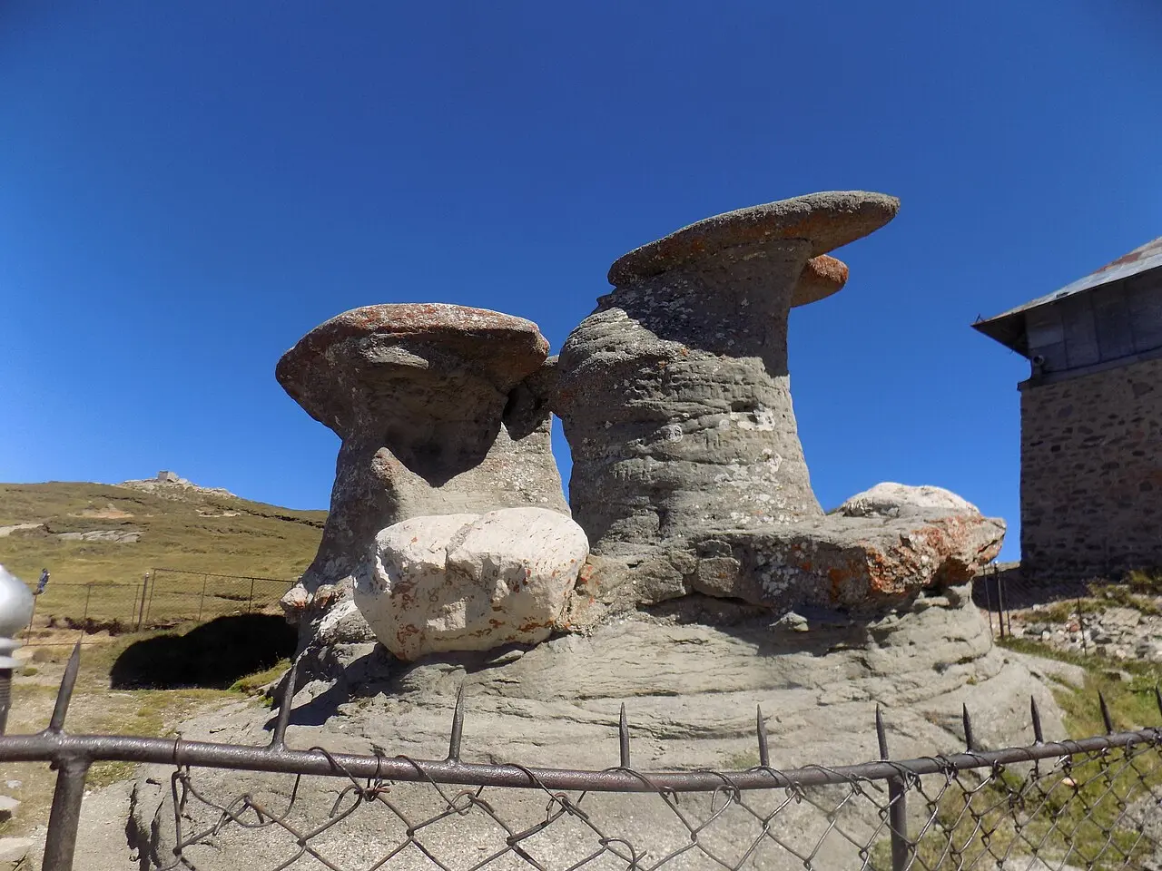 The Babele rock formations on the Bucegi plateau, mushroom-shaped wind-carved rocks standing on open grassland with mountains behind