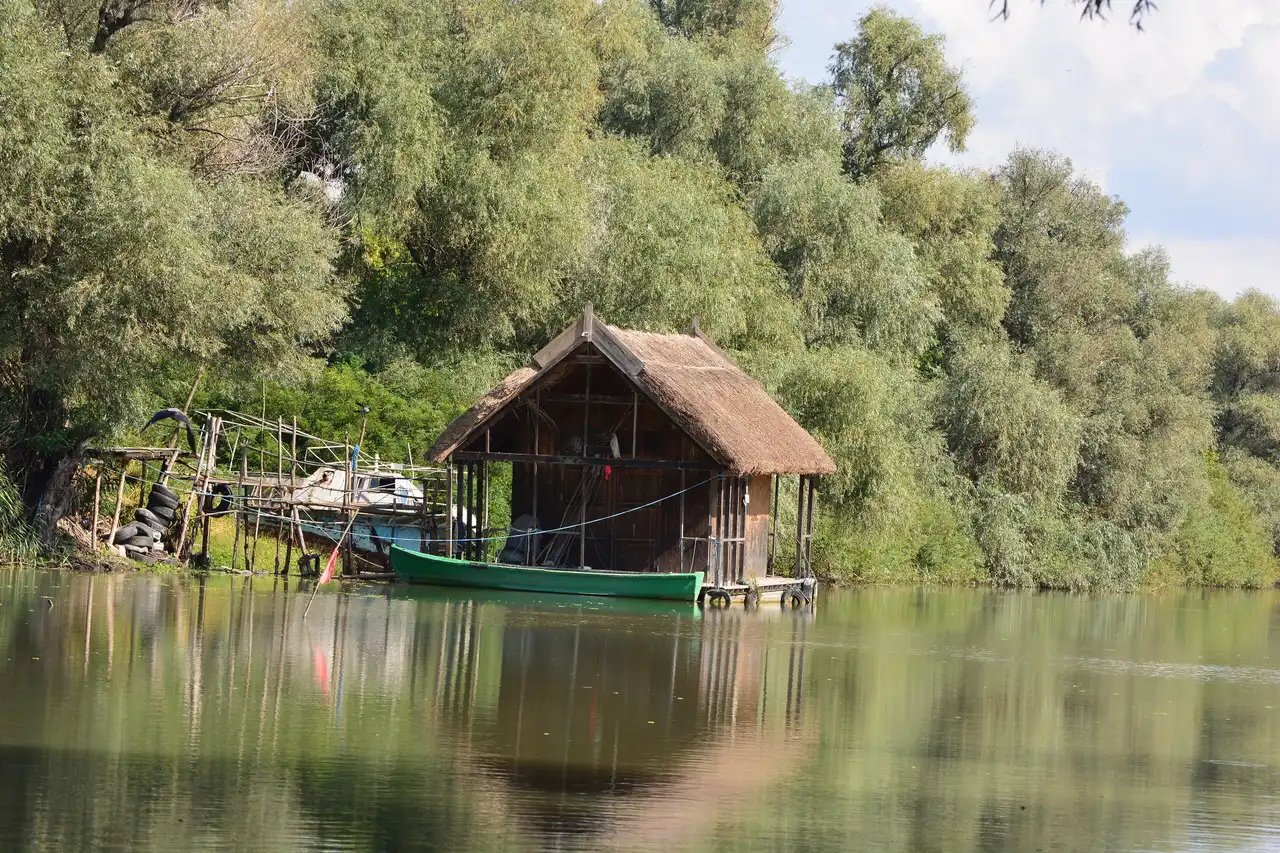 A reed-thatched fisherman's hut on stilts at the edge of a still Danube Delta channel, a green wooden boat moored in front and willows behind