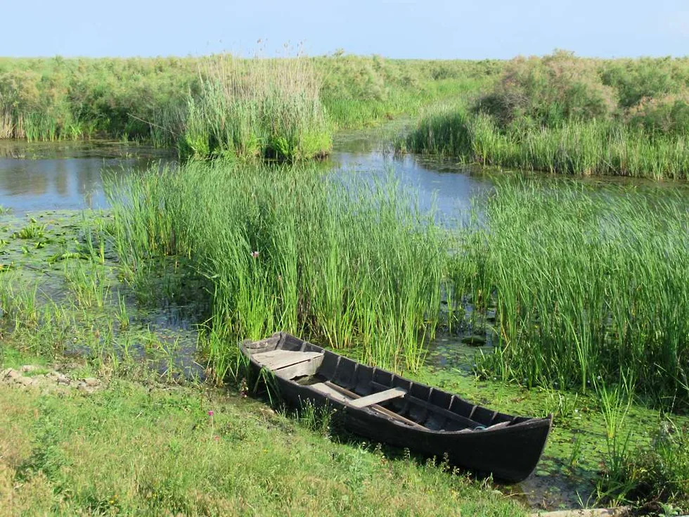 A quiet reed-lined channel at Crisan in the Danube Delta