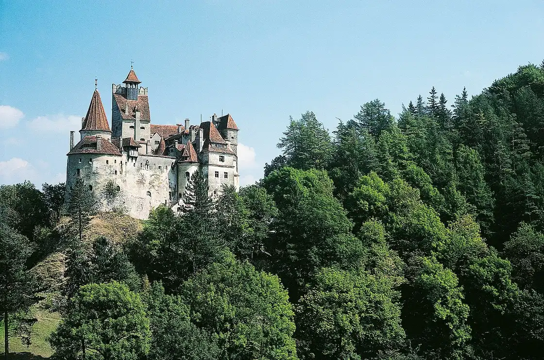 Bran Castle in summer, its white walls and red roofs rising on a rock above the trees