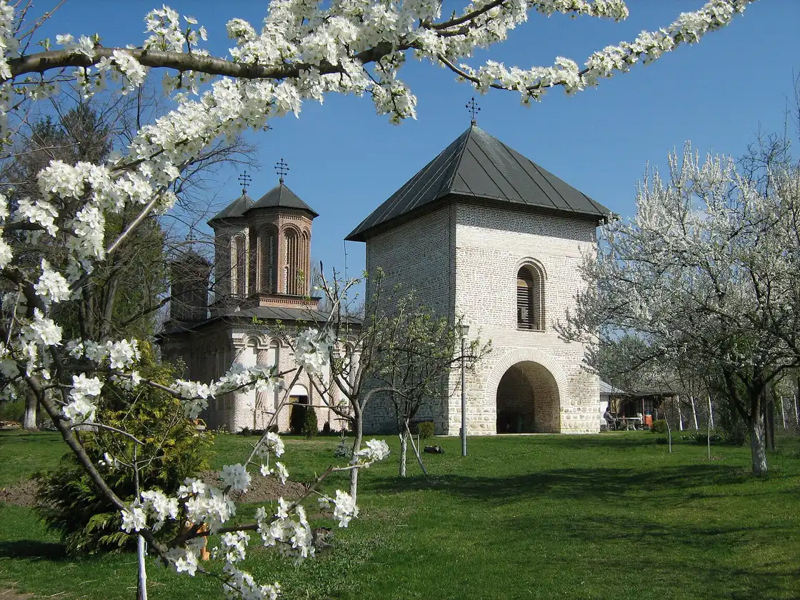 The white church and bell tower of Snagov Monastery framed by spring blossom, on its island in Lake Snagov near Bucharest