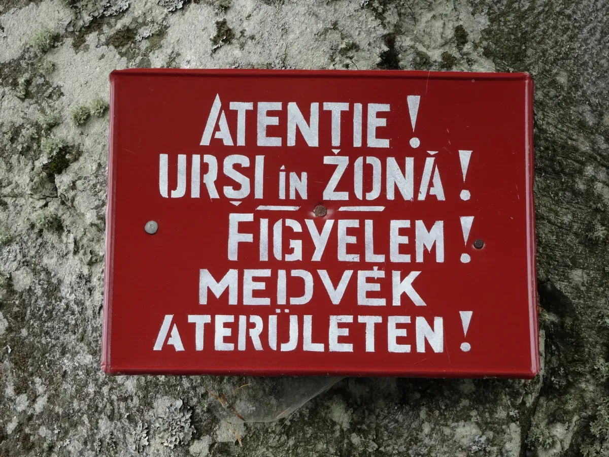 A red enamel warning sign in Romanian and Hungarian reading Atentie ursi in zona, meaning warning bears in the area, fixed to a rock on a mountain trail