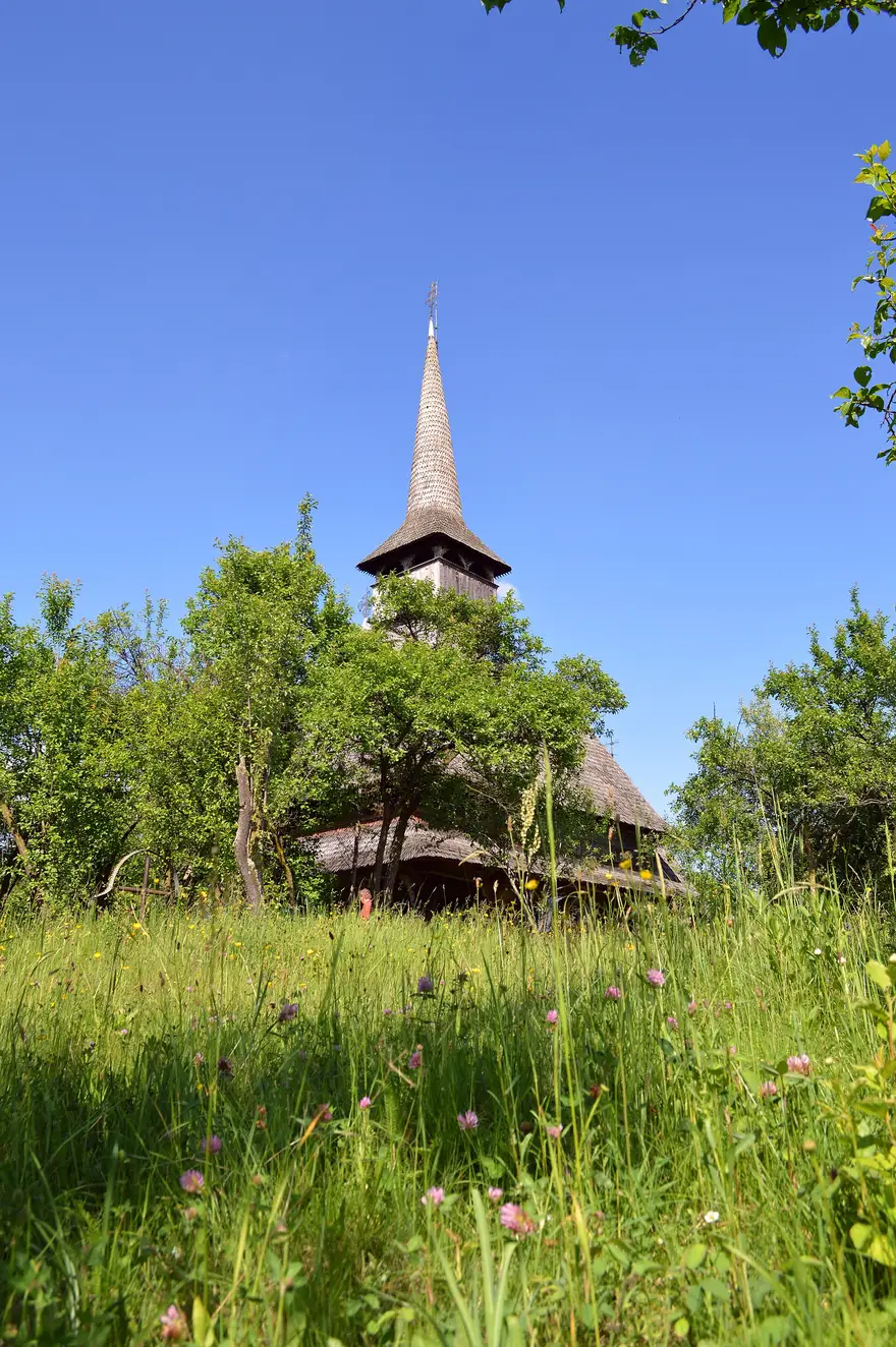 The UNESCO-listed old wooden church of Barsana standing in a grassy orchard, a compact timber church with a tall shingled tower