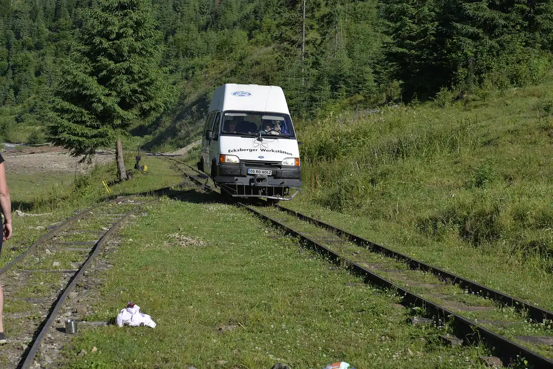 The narrow-gauge forest railway line running through the wooded Vaser Valley that the Mocanita follows from Viseu de Sus