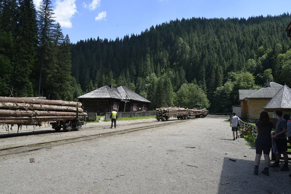 The narrow-gauge forest railway running beside the wooded Vaser river valley that the Mocanita climbs
