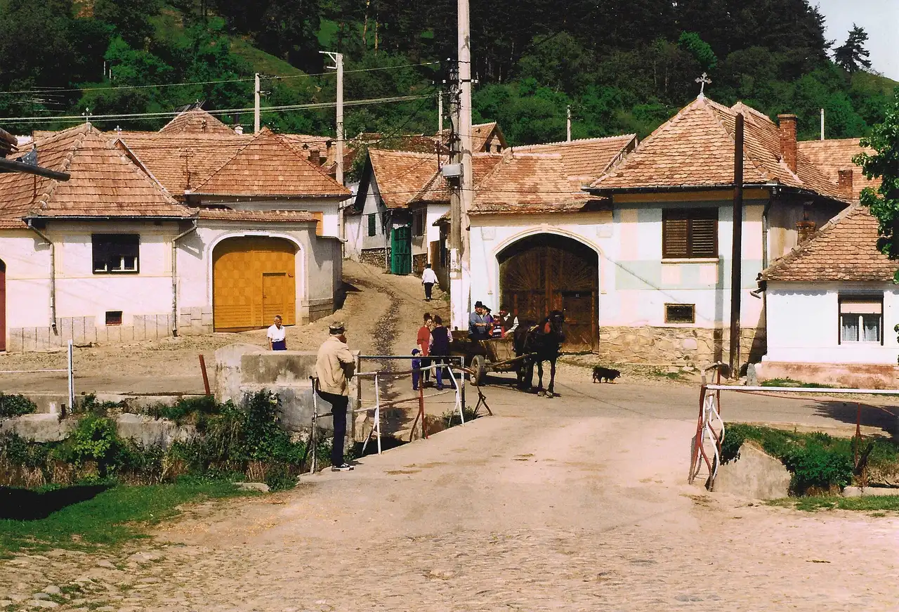 A quiet street in Rasinari lined with traditional houses and wooden gates