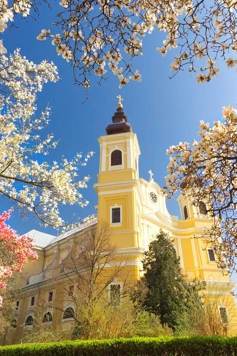 The twin-towered Roman Catholic Basilica of St Mary in Oradea, the largest Baroque church in Romania, seen from the front