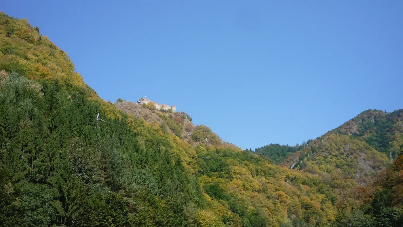 Poenari Castle perched on its wooded ridge above Capataneni, seen from the valley road approach