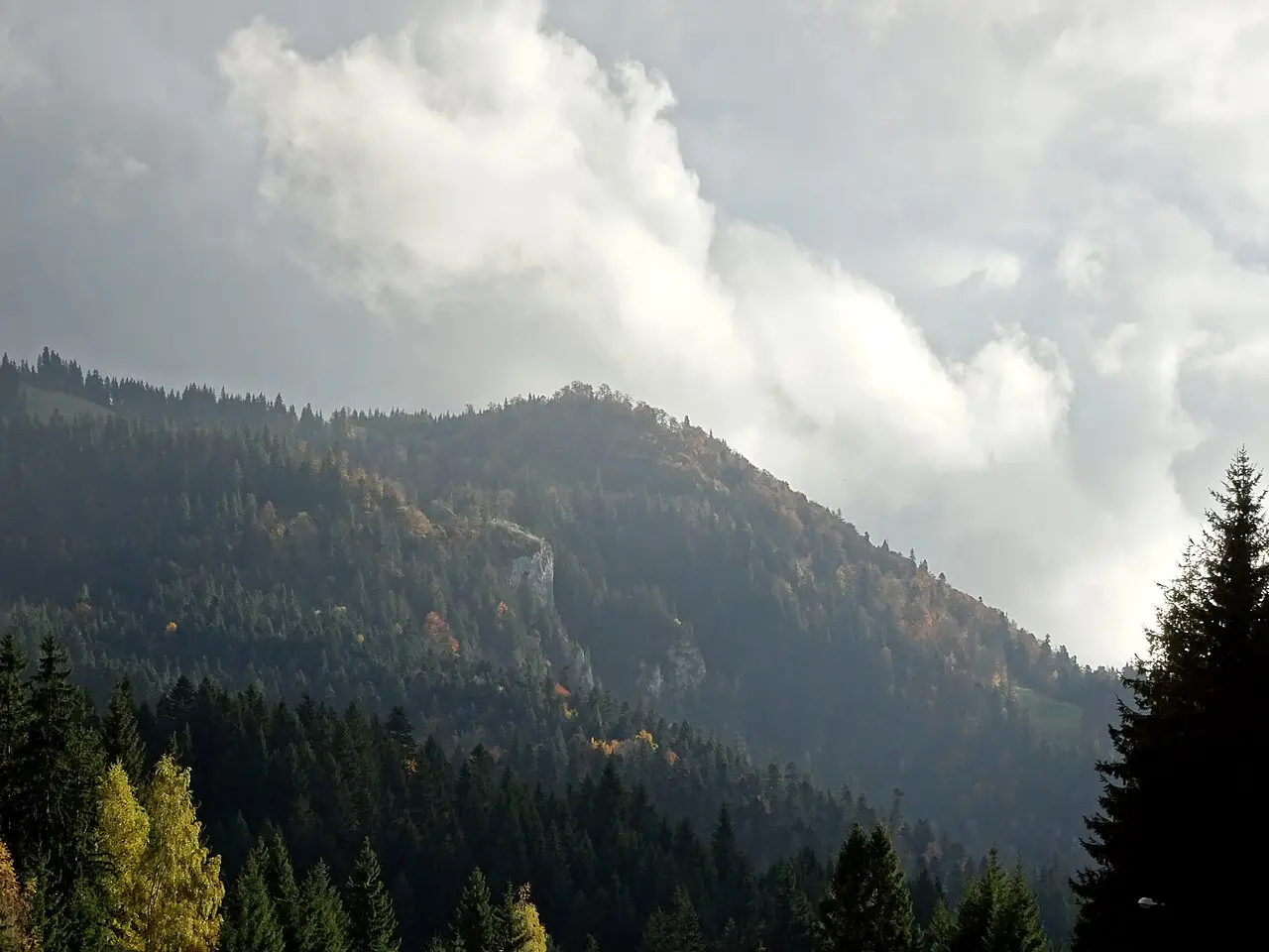 The wooded Postavaru massif rising above Poiana Brasov, low cloud catching the summit ridge
