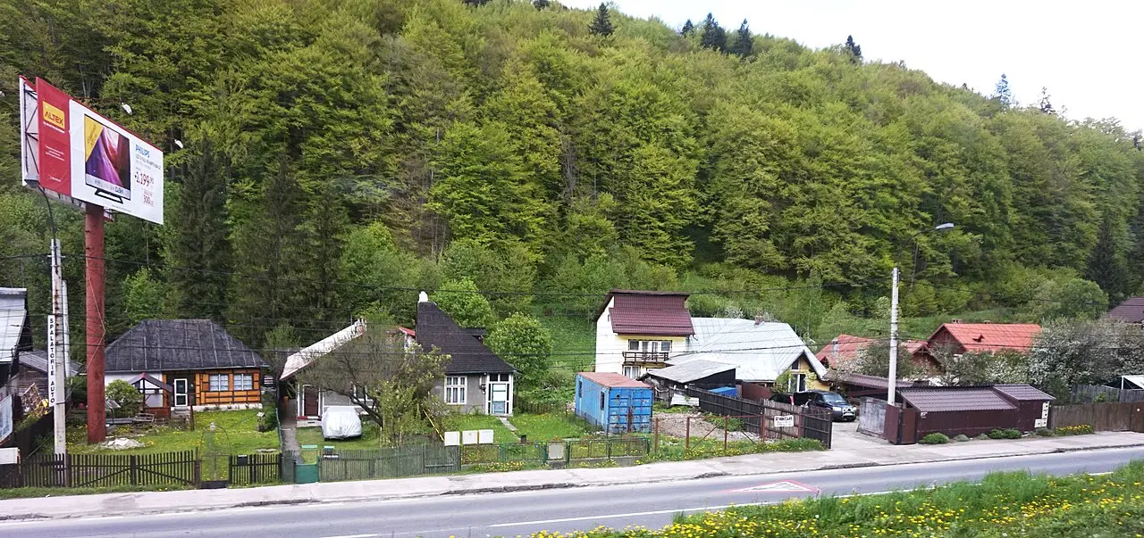 Colourful timber houses in Predeal with forested hills behind