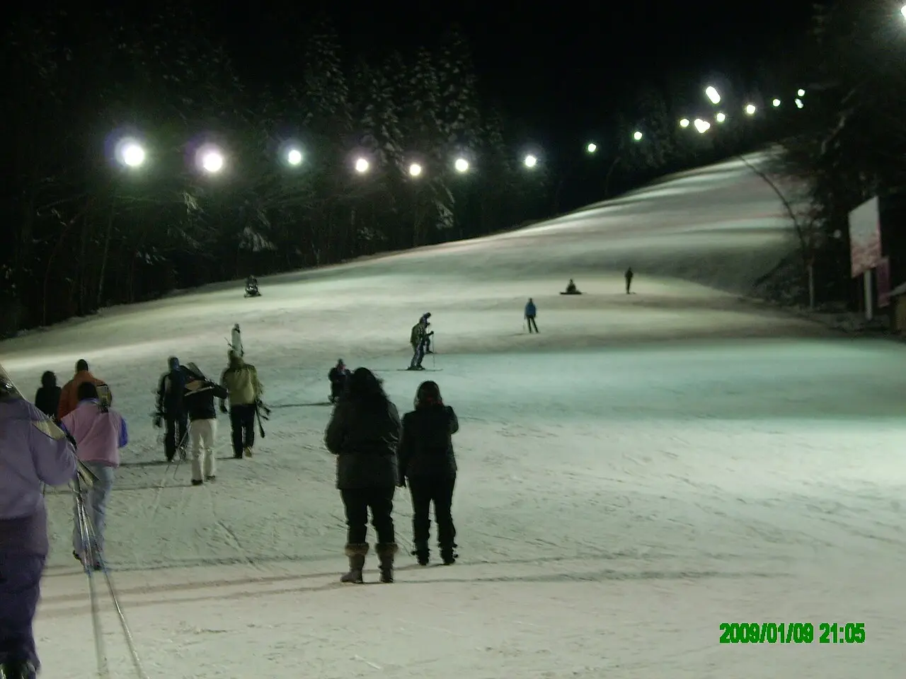 Ski slope cut through forest above Predeal