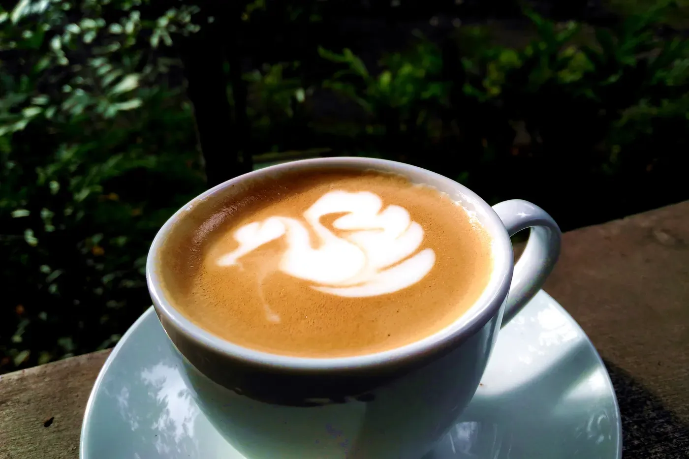 A cappuccino with swan-shaped latte art on a white cup and saucer
