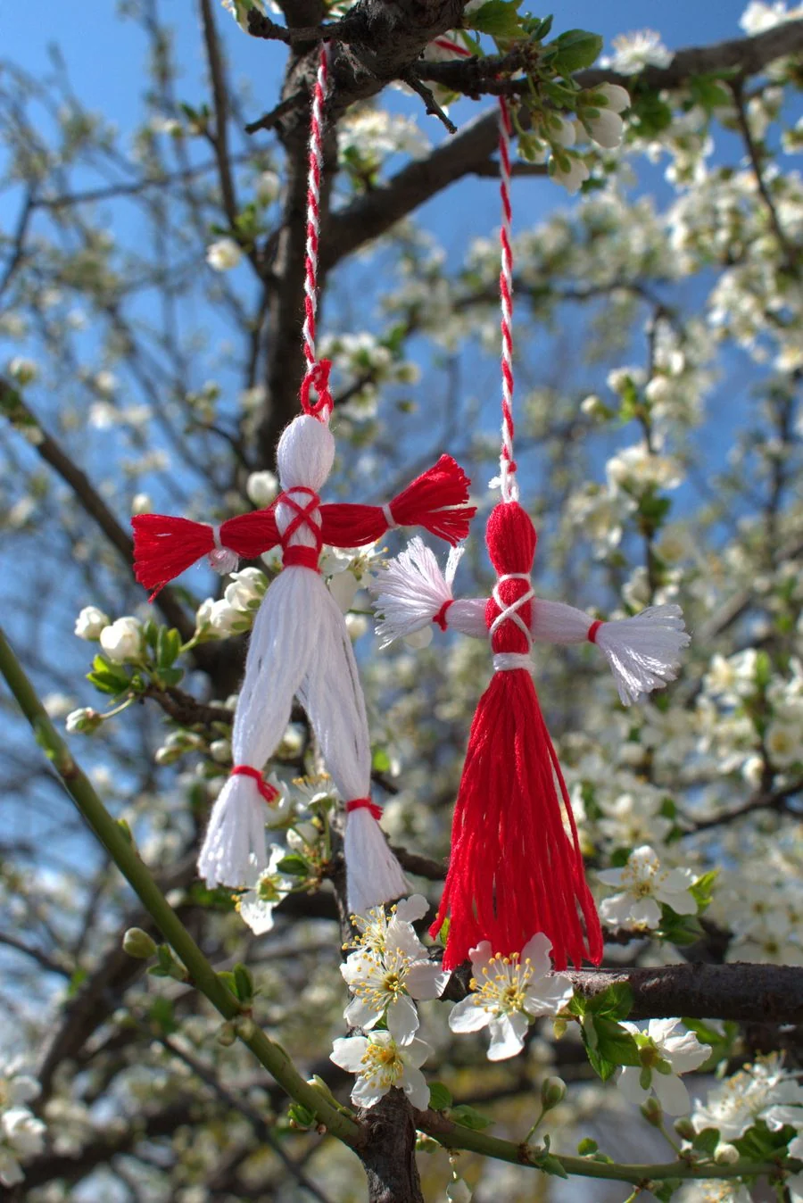 Two red and white thread figures, martisor charms, hanging from a blossoming plum branch against a blue sky