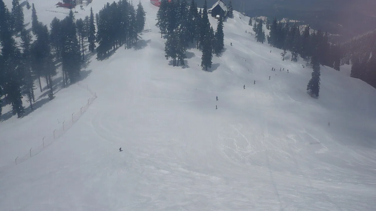 Skiers descending a wide snow-covered piste at Poiana Brasov, framed by snow-laden pine trees under a hazy winter sky