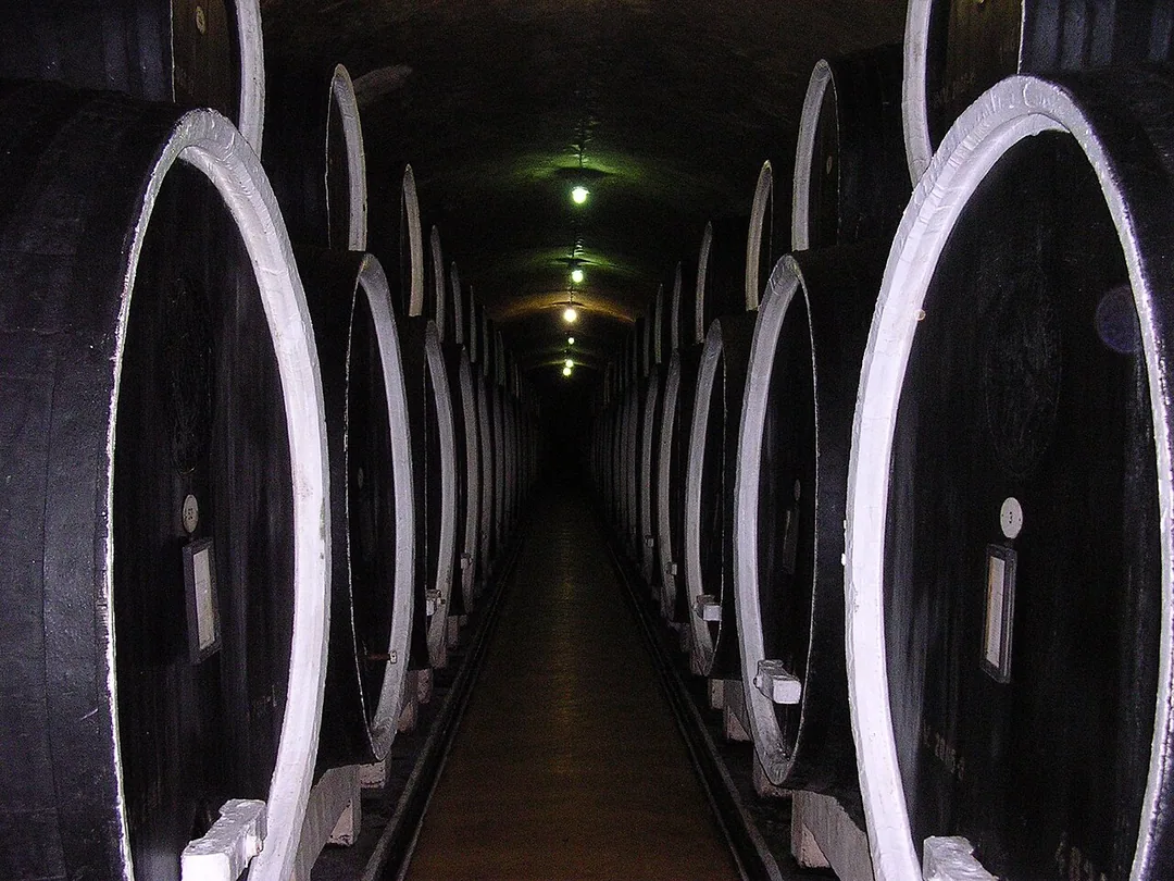 The vaulted underground cellar at Cotnari lined with old wooden barrels