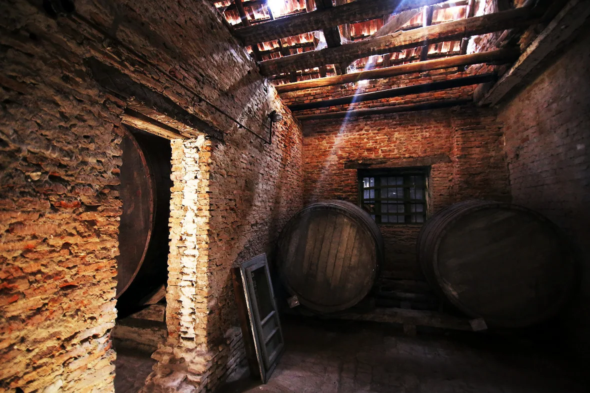 Rows of oak barrels stacked in a dim Romanian wine cellar with light falling on the front barrel