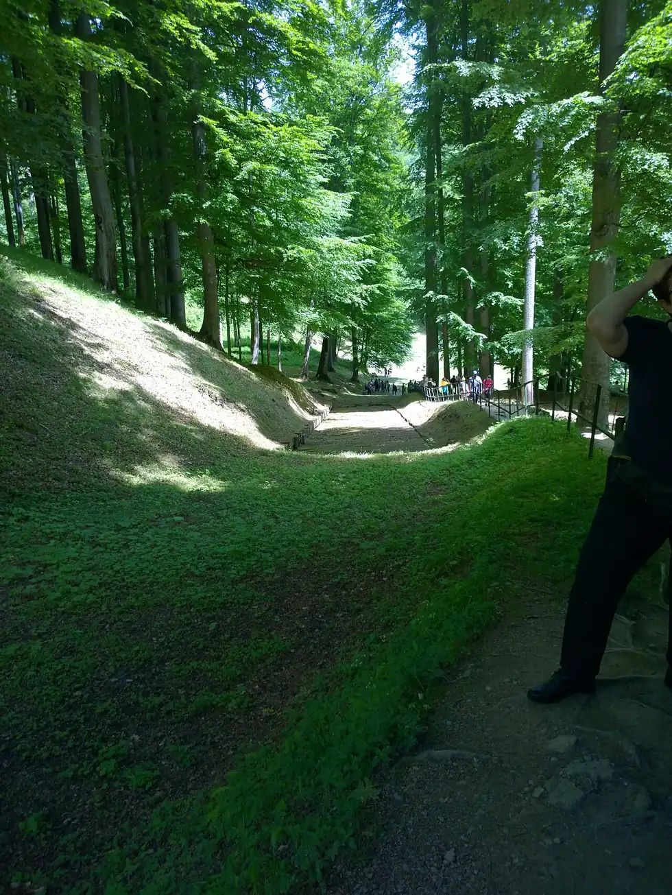 The stone entrance into the fortress enclosure at Sarmizegetusa Regia, a gap in the ancient wall with the forest rising behind