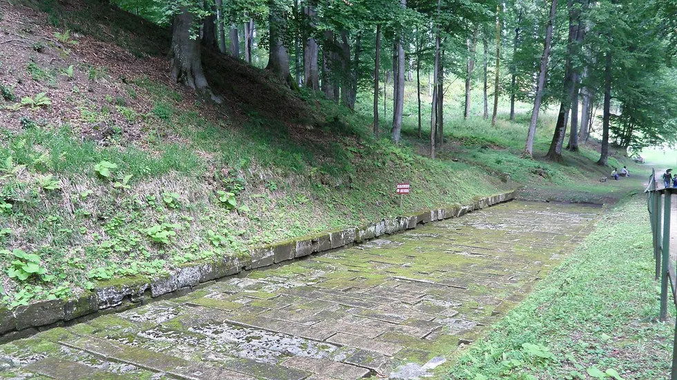 The ancient limestone-paved road at Sarmizegetusa Regia running between grassy banks toward the tree line