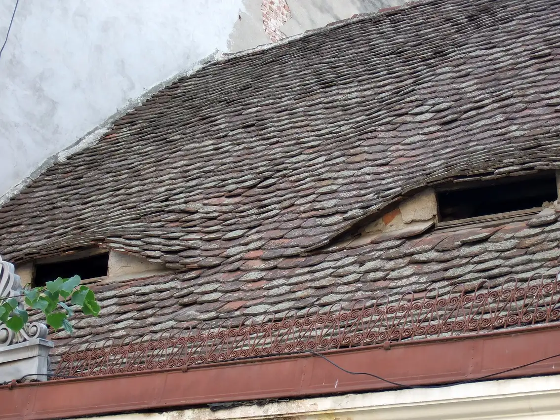 A close view of two eyebrow dormer windows on a Sibiu roof, looking like a pair of half-closed eyes in the tiles