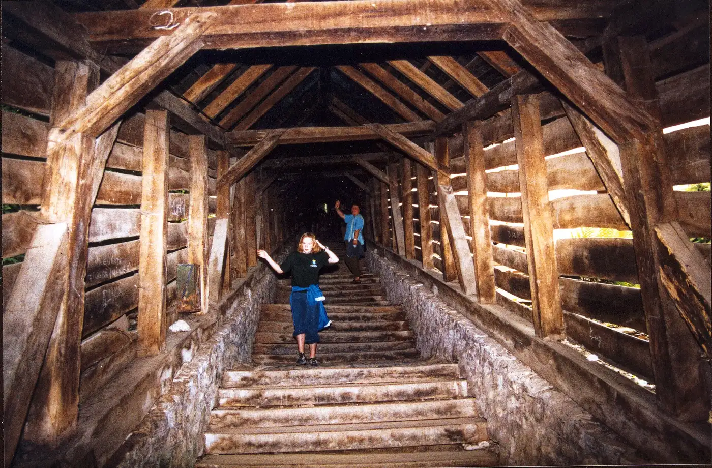The Covered Stairway in Sighisoara, a wooden tunnel of steps climbing up to the Church on the Hill