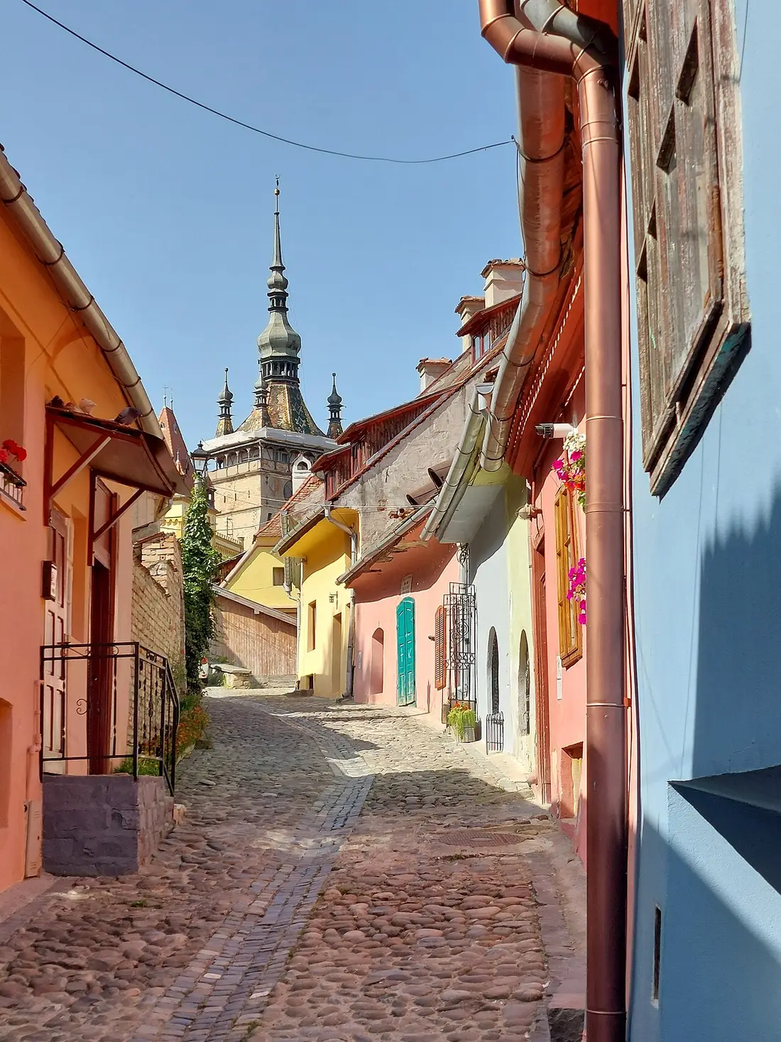 A narrow cobbled lane inside the Sighisoara citadel lined with pastel townhouses