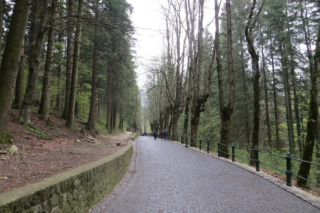 A cobbled tree-lined promenade through the forest above Sinaia, old iron lamp posts along a stone parapet and walkers under tall trees