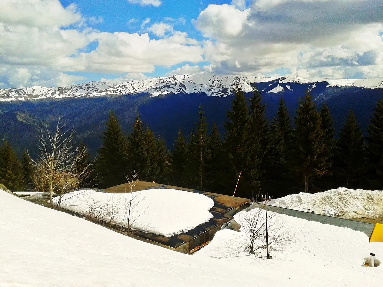 The snow-capped ridge of the Bucegi Mountains seen across a forested valley from Sinaia, dark spruce in the foreground under a bright sky