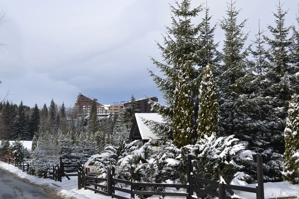 Hotels and apartment blocks in Poiana Brasov with forested slopes rising behind them