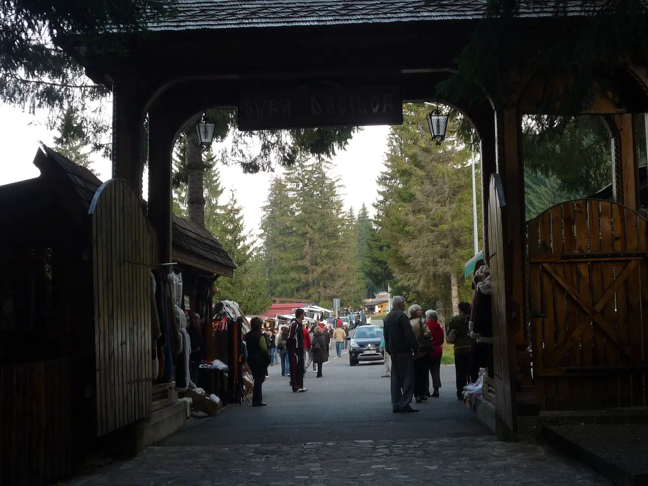 Open snow slope and forest edge at Poiana Brasov with ski infrastructure on the hillside