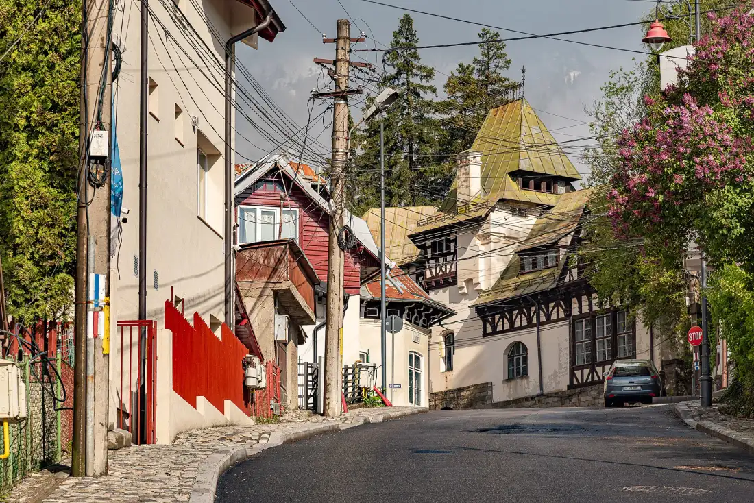 Rooftops and forested ridges of Sinaia in the Prahova Valley under soft winter light
