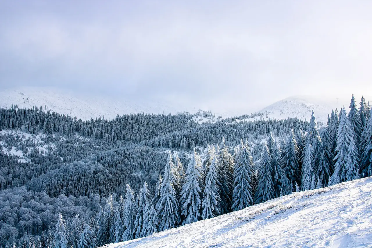 Wide view over the Straja ski area above Lupeni with forested ridges and open slopes