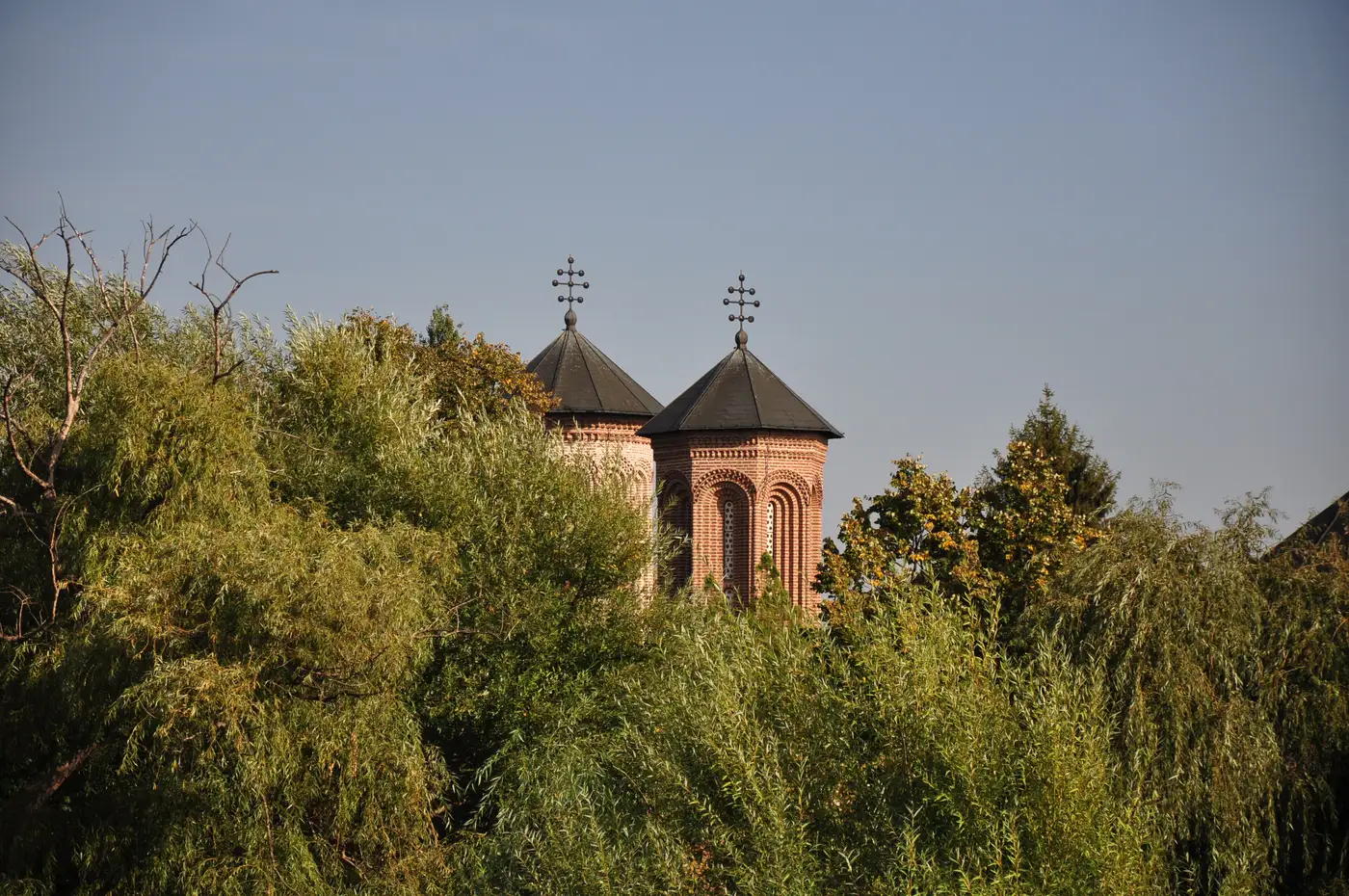 Two brick towers of Snagov Monastery rising above willow trees against a clear sky
