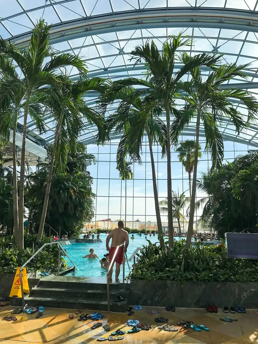Palm trees under the glass dome of Therme Bucharest with swimmers in the pool below and flip-flops lined up at the edge
