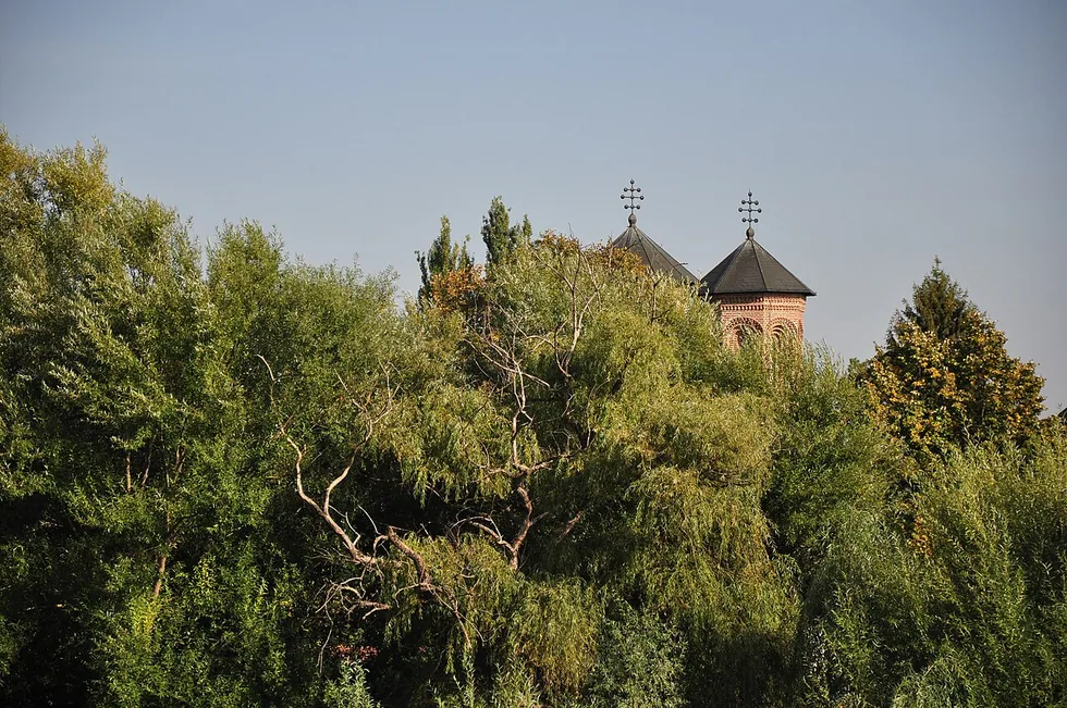 The brick towers of Snagov Monastery rising above the willows on its island north of Bucharest
