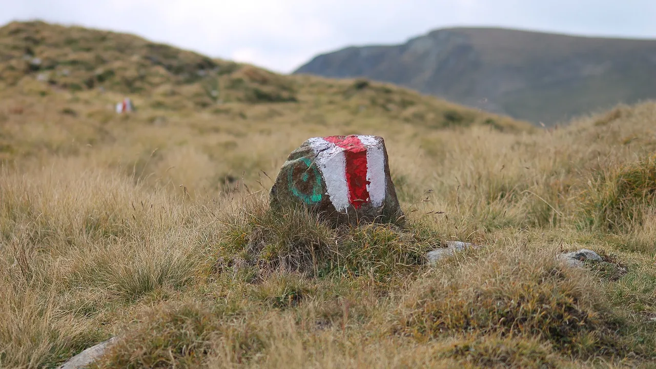 Summer ridge in the Fagaras Mountains under a clear sky, the high ground that stays cool when the lowlands bake
