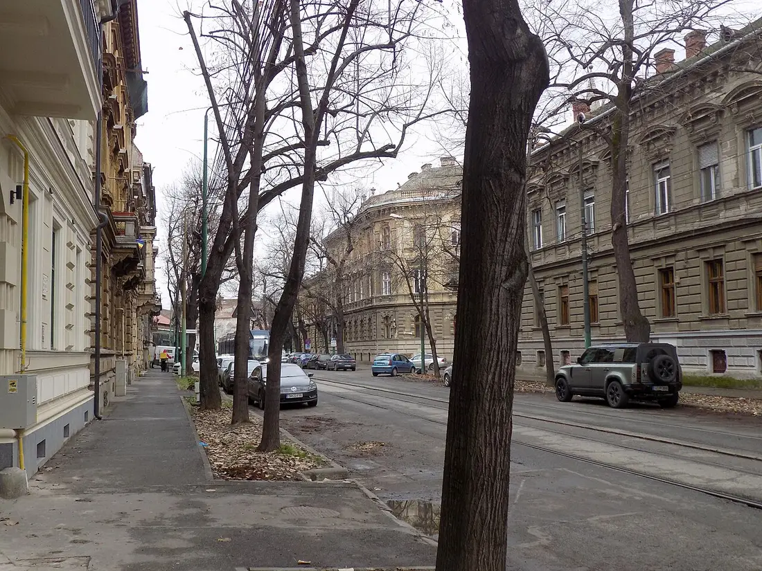 A quiet residential street in the Fabric district of Timisoara, lined with older apartment buildings and bare winter trees